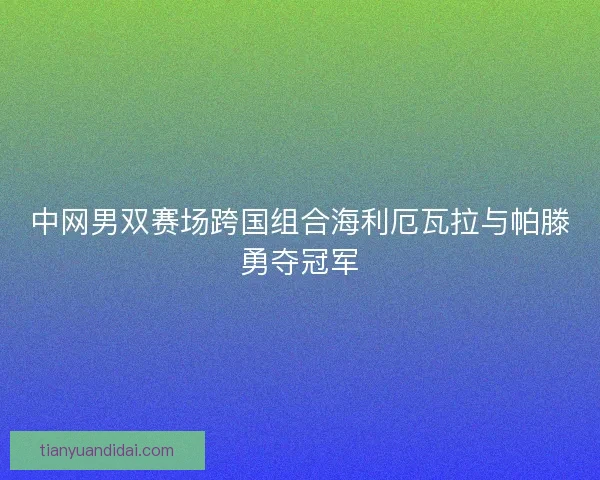 中网男双赛场跨国组合海利厄瓦拉与帕滕勇夺冠军